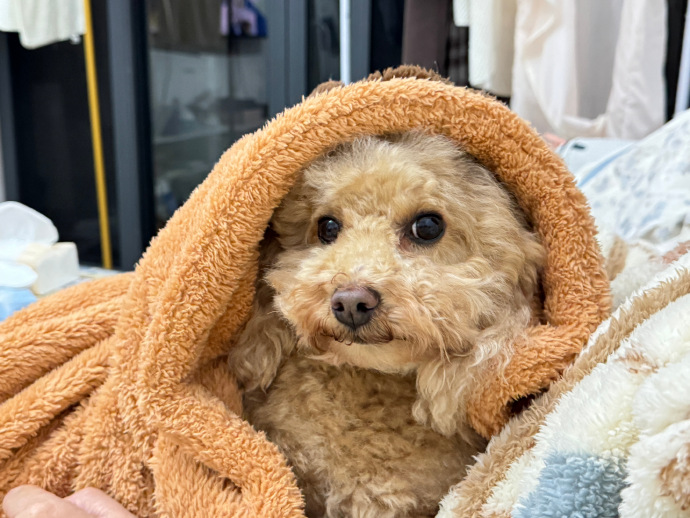 封神瞬间 — 舞台瞬间 封面